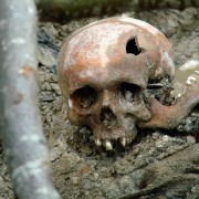 Schädel eines Opfers des Massakers in Srebrenica in einem exhumierten Massengrab bei Potocari, Bosnien und Herzegovina im Juli 2007. Photo by Adam Jones adamjones.freeservers.com
